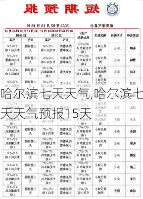 哈尔滨七天天气,哈尔滨七天天气预报15天