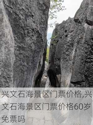 兴文石海景区门票价格,兴文石海景区门票价格60岁免票吗