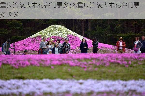 重庆涪陵大木花谷门票多少,重庆涪陵大木花谷门票多少钱