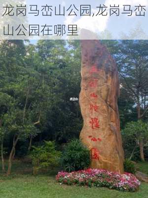 龙岗马峦山公园,龙岗马峦山公园在哪里