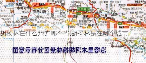 胡杨林在什么地方哪个省,胡杨林是在哪个城市