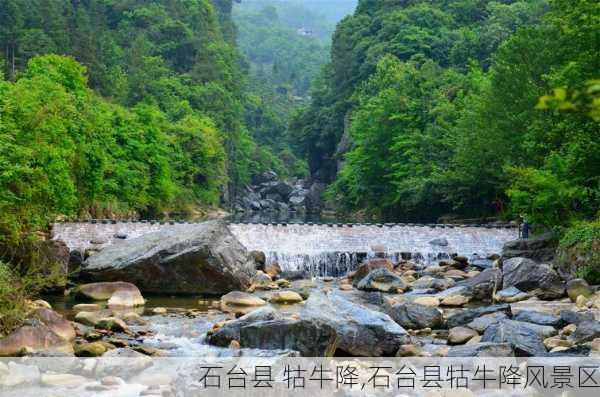 石台县 牯牛降,石台县牯牛降风景区