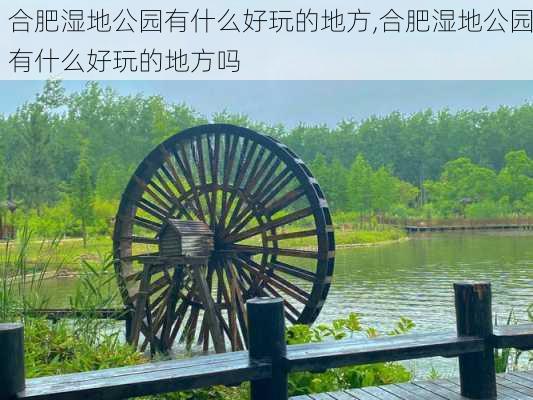 合肥湿地公园有什么好玩的地方,合肥湿地公园有什么好玩的地方吗