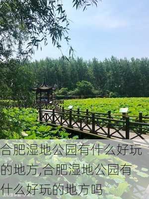 合肥湿地公园有什么好玩的地方,合肥湿地公园有什么好玩的地方吗