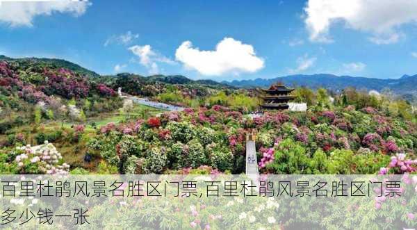 百里杜鹃风景名胜区门票,百里杜鹃风景名胜区门票多少钱一张