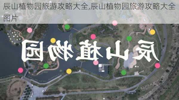 辰山植物园旅游攻略大全,辰山植物园旅游攻略大全图片