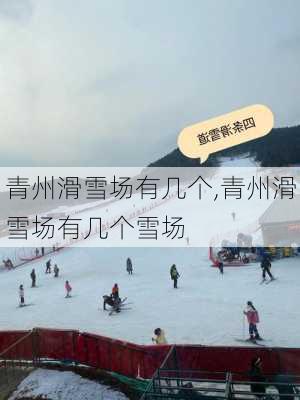 青州滑雪场有几个,青州滑雪场有几个雪场