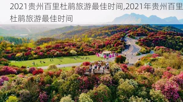 2021贵州百里杜鹃旅游最佳时间,2021年贵州百里杜鹃旅游最佳时间