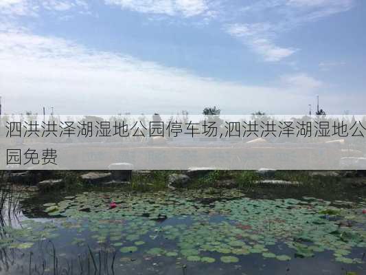 泗洪洪泽湖湿地公园停车场,泗洪洪泽湖湿地公园免费