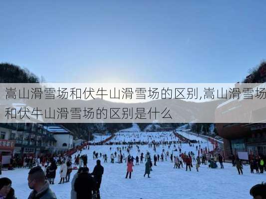 嵩山滑雪场和伏牛山滑雪场的区别,嵩山滑雪场和伏牛山滑雪场的区别是什么