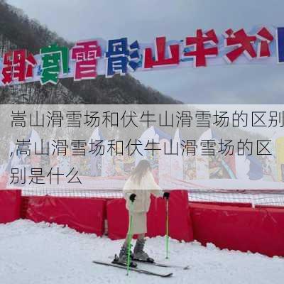 嵩山滑雪场和伏牛山滑雪场的区别,嵩山滑雪场和伏牛山滑雪场的区别是什么