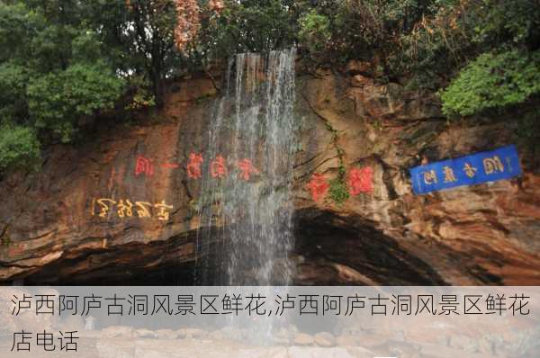 泸西阿庐古洞风景区鲜花,泸西阿庐古洞风景区鲜花店电话