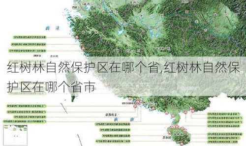 红树林自然保护区在哪个省,红树林自然保护区在哪个省市