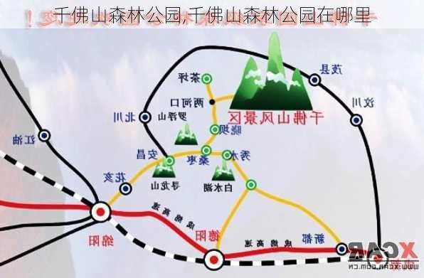 千佛山森林公园,千佛山森林公园在哪里