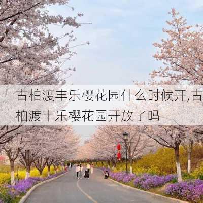 古柏渡丰乐樱花园什么时候开,古柏渡丰乐樱花园开放了吗