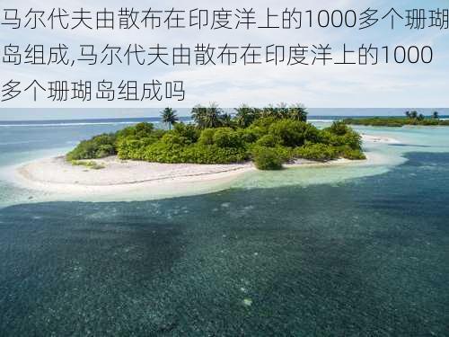 马尔代夫由散布在印度洋上的1000多个珊瑚岛组成,马尔代夫由散布在印度洋上的1000多个珊瑚岛组成吗