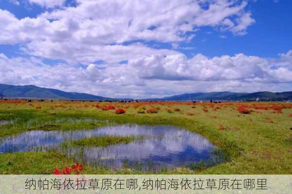 纳帕海依拉草原在哪,纳帕海依拉草原在哪里