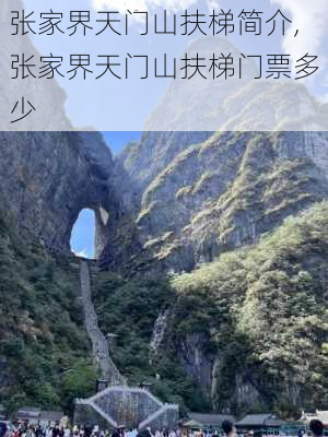 张家界天门山扶梯简介,张家界天门山扶梯门票多少