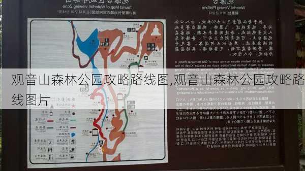 观音山森林公园攻略路线图,观音山森林公园攻略路线图片