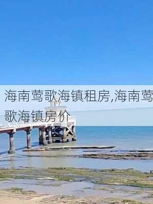 海南莺歌海镇租房,海南莺歌海镇房价