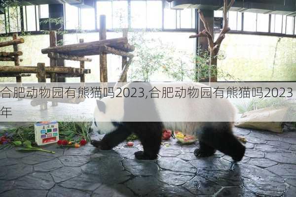 合肥动物园有熊猫吗2023,合肥动物园有熊猫吗2023年