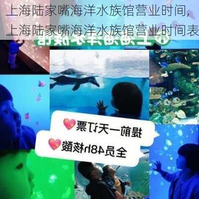 上海陆家嘴海洋水族馆营业时间,上海陆家嘴海洋水族馆营业时间表