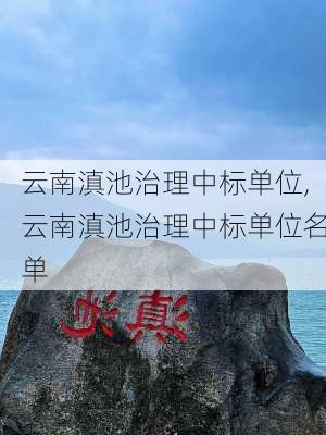 云南滇池治理中标单位,云南滇池治理中标单位名单