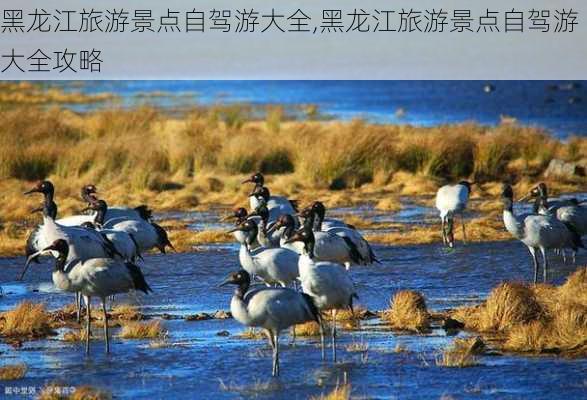 黑龙江旅游景点自驾游大全,黑龙江旅游景点自驾游大全攻略