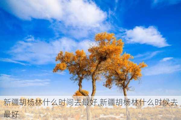 新疆胡杨林什么时间去最好,新疆胡杨林什么时候去最好