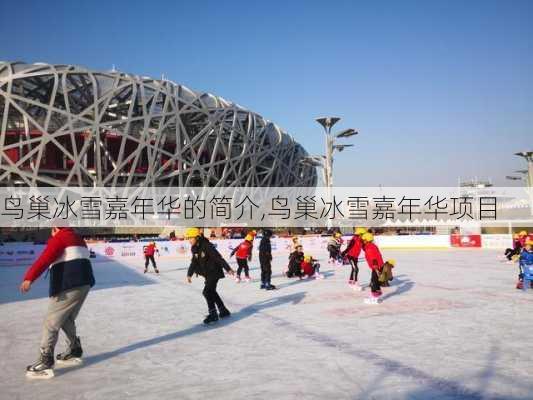 鸟巢冰雪嘉年华的简介,鸟巢冰雪嘉年华项目