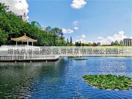 增城荔湖湿地公园,增城荔湖湿地公园图片