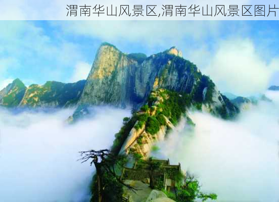 渭南华山风景区,渭南华山风景区图片