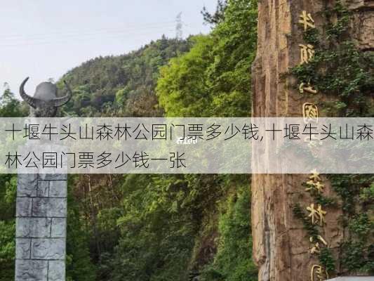 十堰牛头山森林公园门票多少钱,十堰牛头山森林公园门票多少钱一张