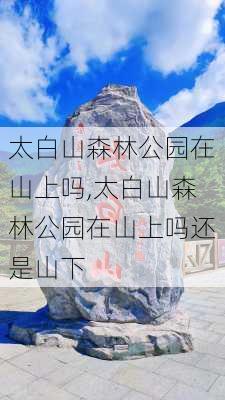 太白山森林公园在山上吗,太白山森林公园在山上吗还是山下