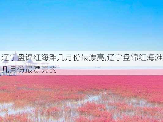 辽宁盘锦红海滩几月份最漂亮,辽宁盘锦红海滩几月份最漂亮的