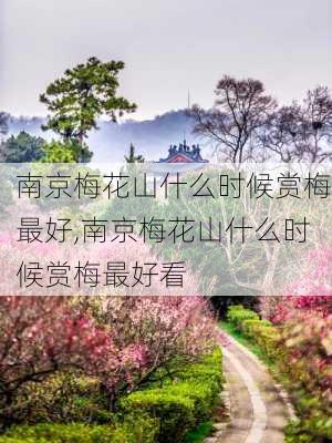 南京梅花山什么时候赏梅最好,南京梅花山什么时候赏梅最好看