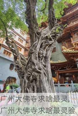 广州大佛寺求啥最灵,广州大佛寺求啥最灵验