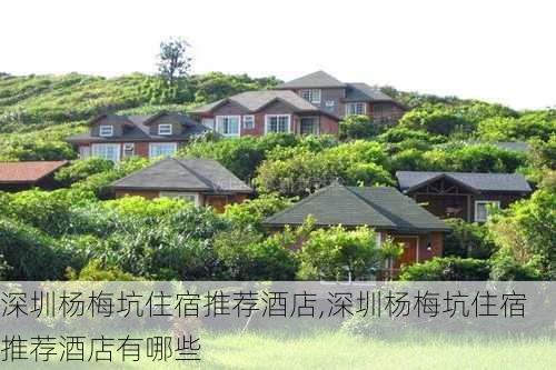 深圳杨梅坑住宿推荐酒店,深圳杨梅坑住宿推荐酒店有哪些