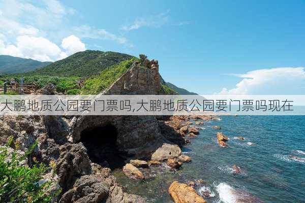 大鹏地质公园要门票吗,大鹏地质公园要门票吗现在