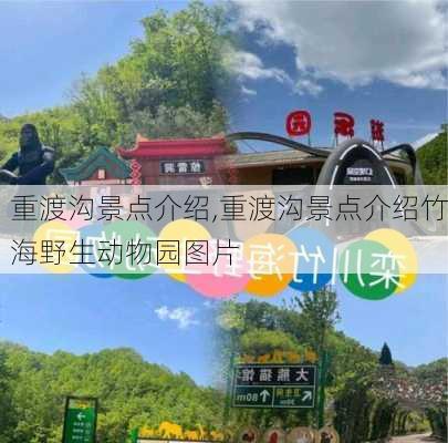 重渡沟景点介绍,重渡沟景点介绍竹海野生动物园图片