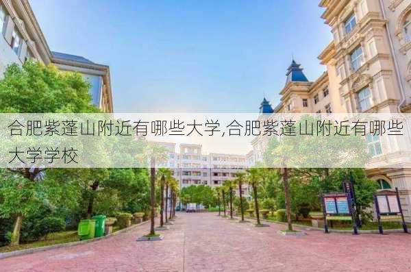 合肥紫蓬山附近有哪些大学,合肥紫蓬山附近有哪些大学学校