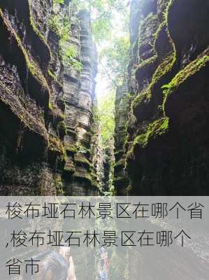 梭布垭石林景区在哪个省,梭布垭石林景区在哪个省市