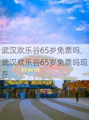 武汉欢乐谷65岁免票吗,武汉欢乐谷65岁免票吗现在