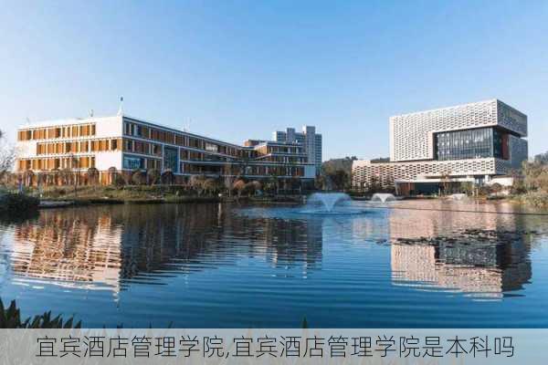 宜宾酒店管理学院,宜宾酒店管理学院是本科吗