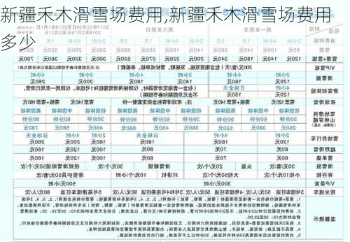 新疆禾木滑雪场费用,新疆禾木滑雪场费用多少