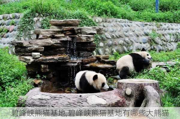 碧峰峡熊猫基地,碧峰峡熊猫基地有哪些大熊猫