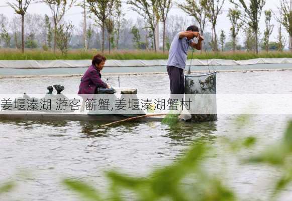 姜堰溱湖 游客 簖蟹,姜堰溱湖蟹村