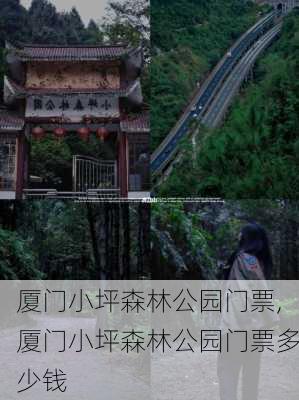 厦门小坪森林公园门票,厦门小坪森林公园门票多少钱