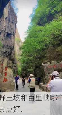 野三坡和百里峡哪个景点好,