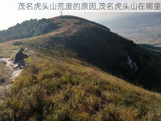 茂名虎头山荒废的原因,茂名虎头山在哪里